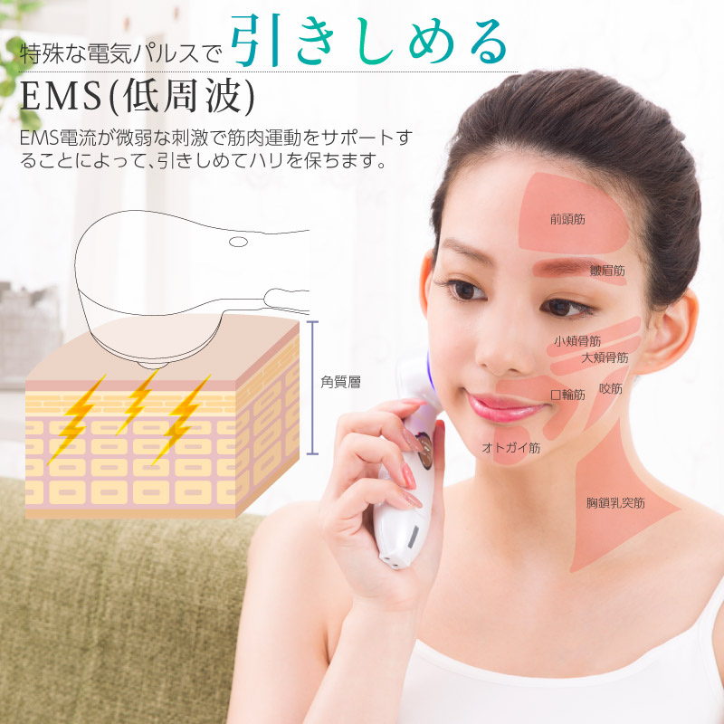 TAIGASHOJI 大河商事 Beapro06 ビープロ RF/EMS美顔器 : murauchi.co