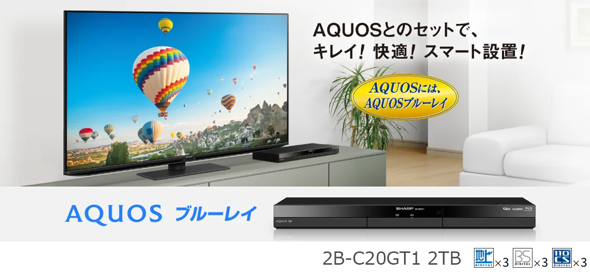 SHARP（シャープ） 【梱包B級品】2B-C20GT1 2TB ブルーレイディスク