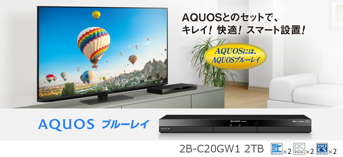 SHARP（シャープ） 【梱包B級品】2B-C20GW1 2TB ブルーレイディスク