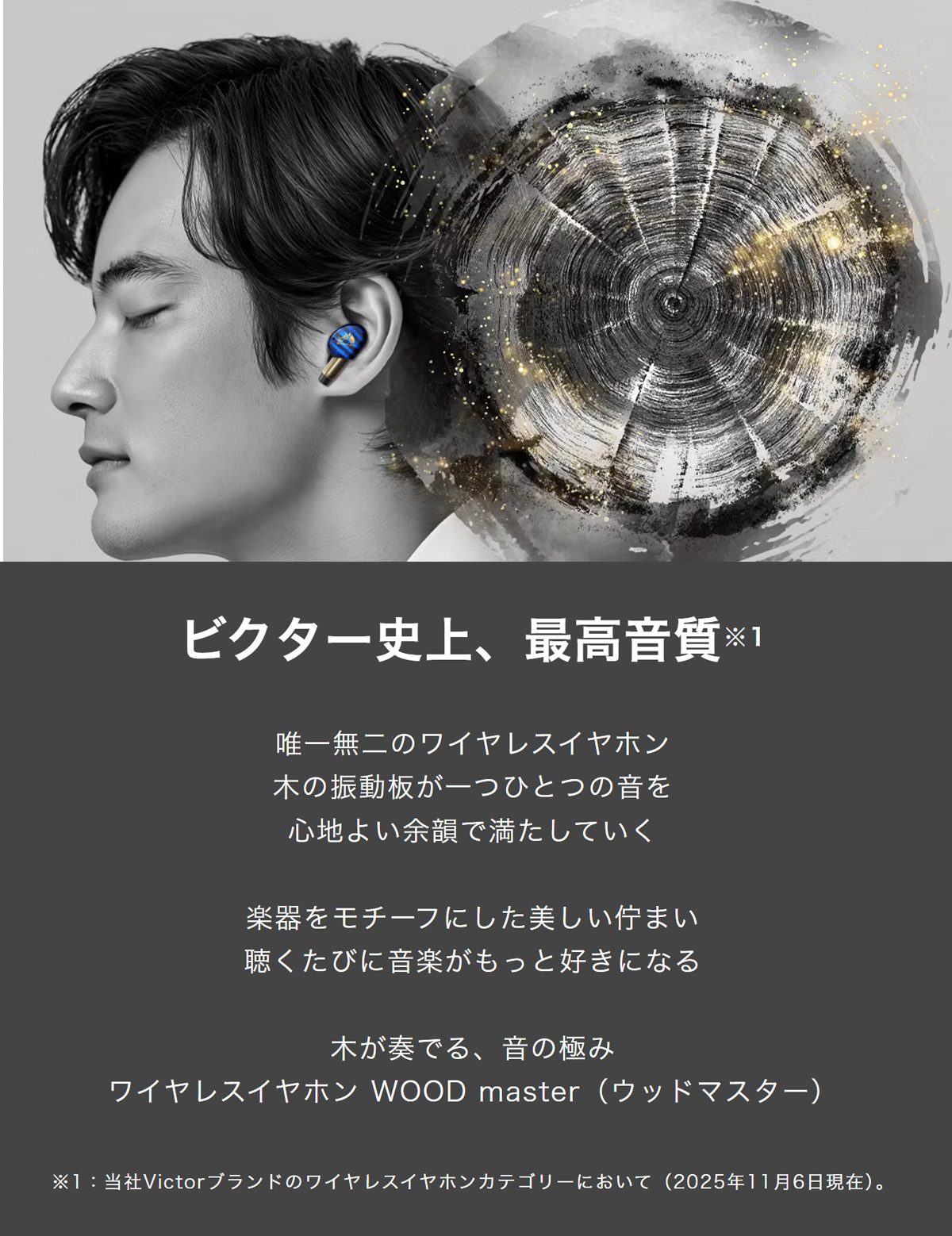 Victor（ビクター） JVC Victor HA-FW5000T-A インディゴブルー
