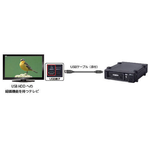 ラトックシステム  ラトックシステム USB3.0 リムーバブルケース (外付け1ベイ) SA3-DK1-U3Z