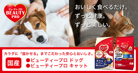 murauchi.co.jp - Yahoo!ショッピング