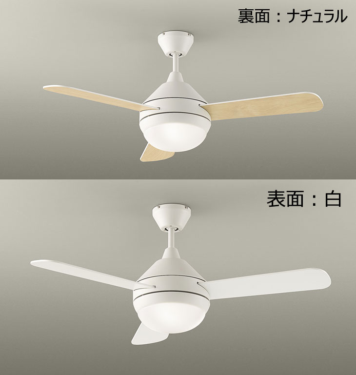 大光電機 LEDシーリングファン ASL-611 ホワイト 大光電機 LEDシーリングファン ASL-611 1台（直送品） - アスクル
