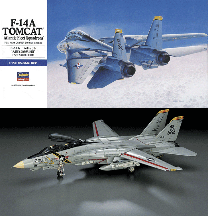 Hasegawa ハセガワ 1/72 F-14A トムキャット (オツ線) 大西洋