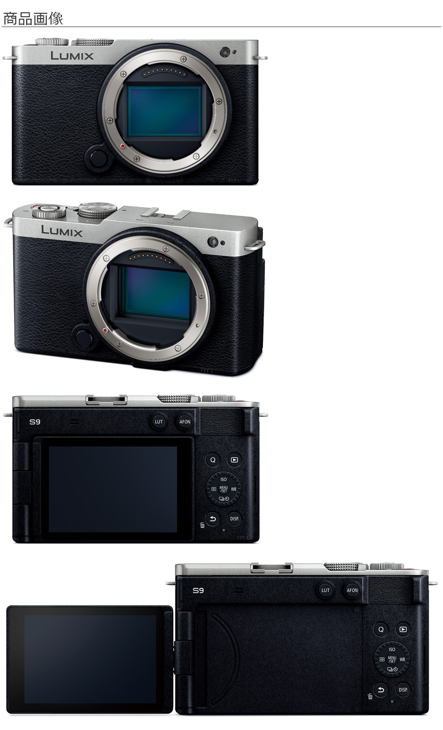 Panasonic（パナソニック） DC-S9-S（ダークシルバー） LUMIX S9