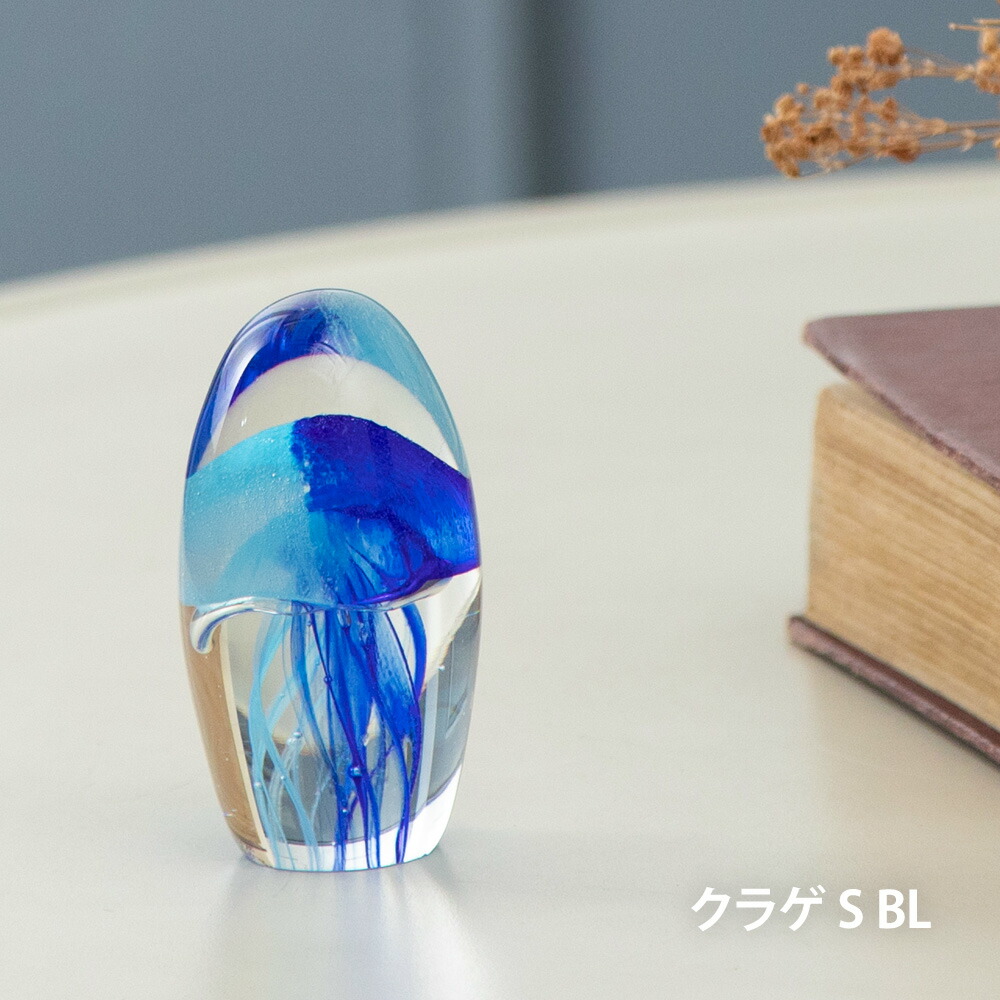 jellyfish_bl.jpg