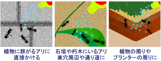 アリ駆除 巣持ち帰りタイプ アリの巣コロリ シャワータイプ 500ml アリの好む餌 配合 アリの巣駆除 殺虫剤 屋外用 N 虫退治 Com Yahoo ショップ 通販 Yahoo ショッピング