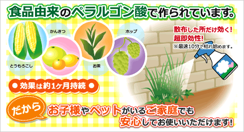 おうちの草コロリ 食品由来の成分で雑草駆除