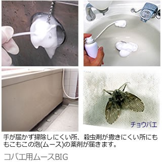 コバエ退治 殺虫剤 コバエ用ムースbig 400ml 風呂場のチョウバエ コバエ駆除 排水口 洗面所 あすつく対応 N 虫退治 Com Yahoo ショップ 通販 Yahoo ショッピング