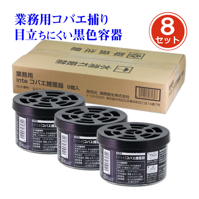 コバエ駆除 業務用 inte コバエ捕獲器 80g×3個 ショウジョウバエ