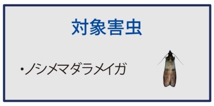 ノシメマダラメイガ 用 フェロモントラップ フジトラップ ガチョン 100