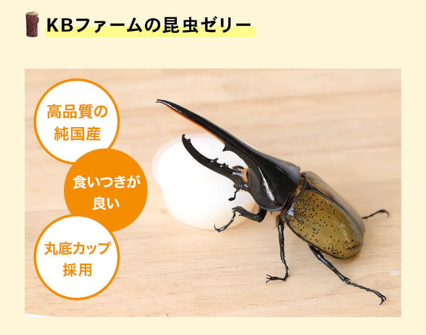 食いつき抜群！【ハイグレード昆虫ゼリー プロゼリー（純国産