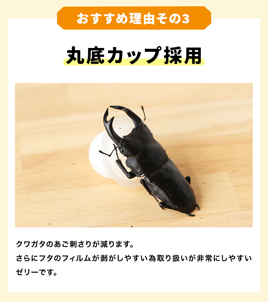 特選ハイグレードプロゼリー500個☆産卵促進・長寿に抜群！食べやすいワイドカップ 特選ハイグレードプロゼリー500個☆産卵促進・長寿に抜群！食べ