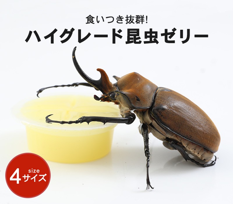 むしや本舗 ヤフー店 - 昆虫ゼリー（飼育用品）｜Yahoo!ショッピング