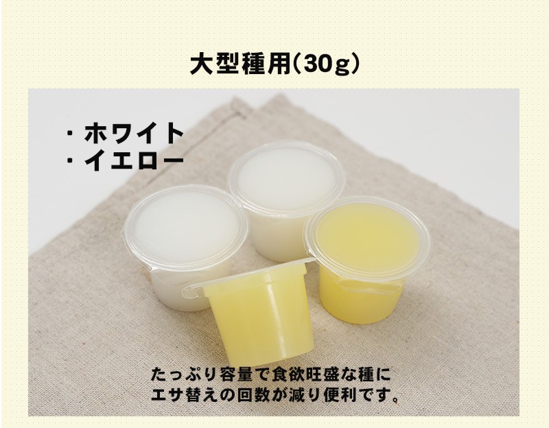 むしや本舗 ヤフー店 - 昆虫ゼリー（飼育用品）｜Yahoo!ショッピング