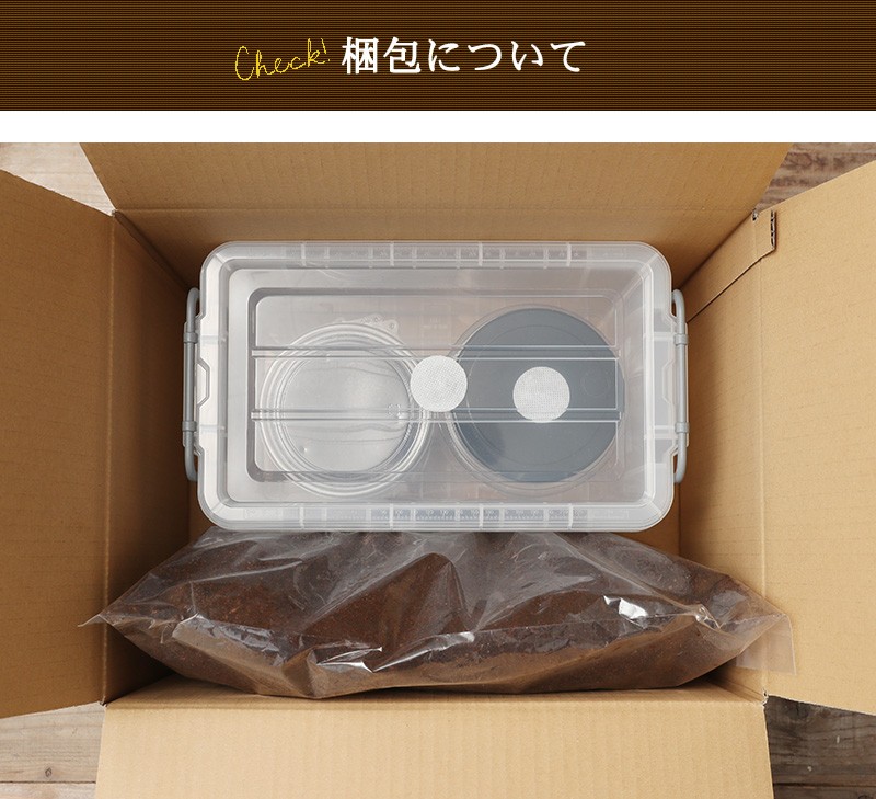 ヘラクレスリッキー3令初期セット ヘラクレス幼虫オスメスペア＋