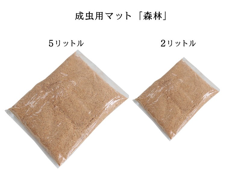 コバエシャッター「昆虫飼育ケース」小サイズ 内部仕切りあり 豪華7点