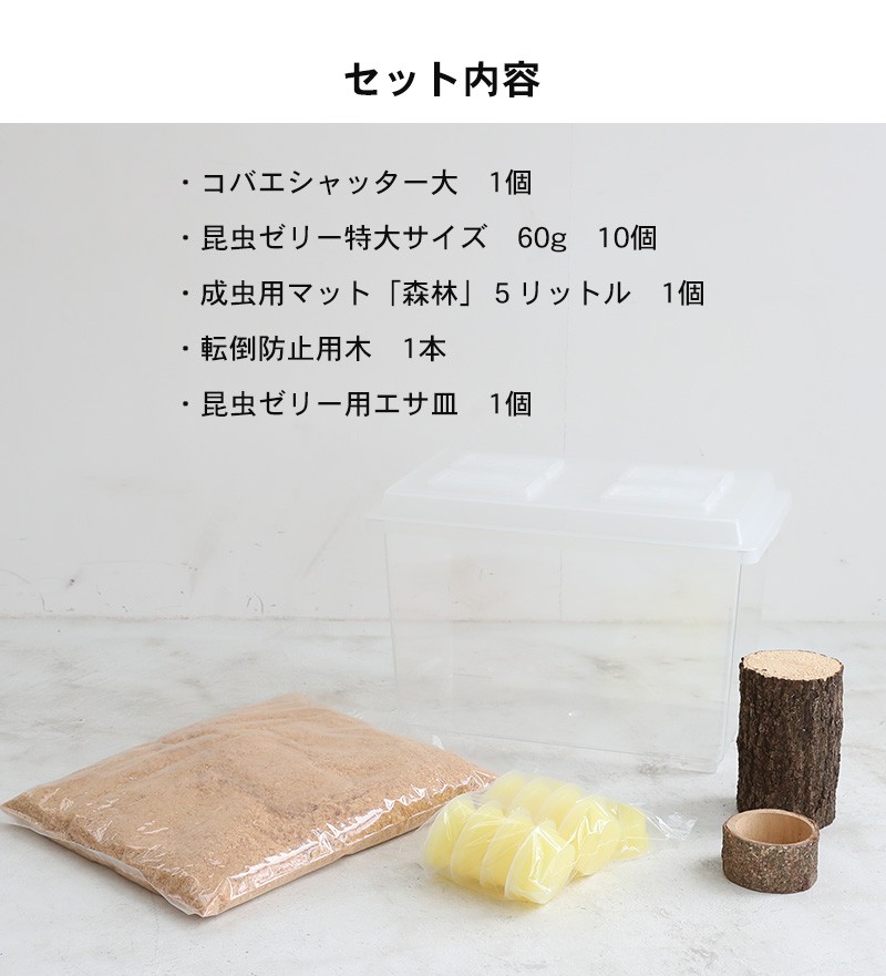kobae-set1_09.jpg
