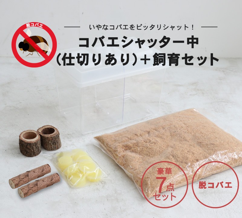 kobae-set3_01.jpg