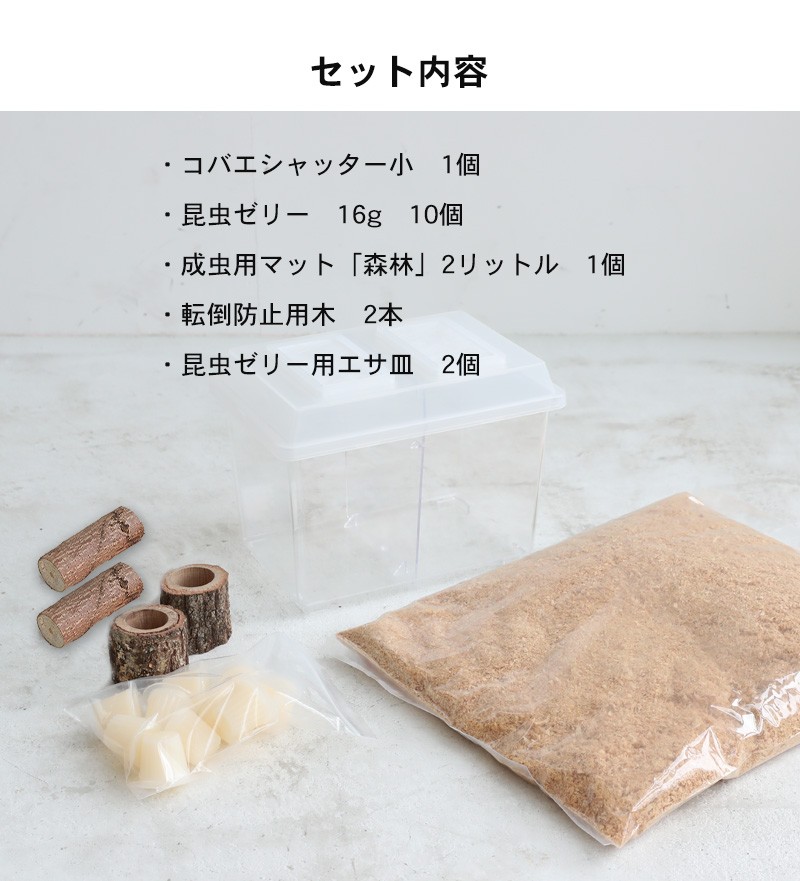 コバエシャッター「昆虫飼育ケース」小サイズ 内部仕切りあり 豪華7点