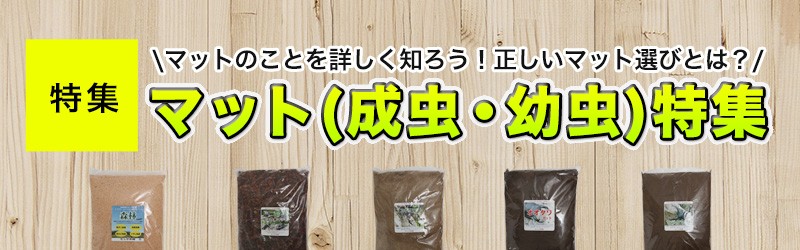 �ޥå�