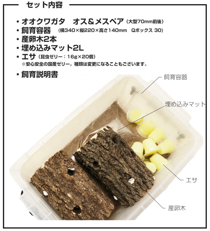ookuwa_09.jpg