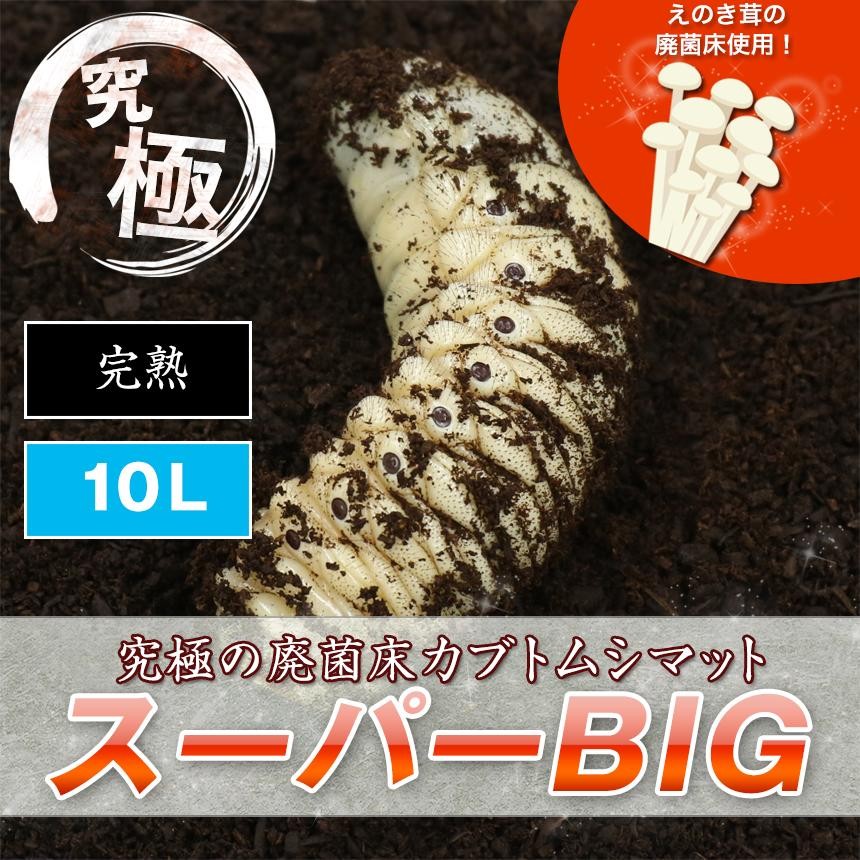 配送条件あり】スーパーカブトマット 10L×7袋【super完熟発酵カブト 