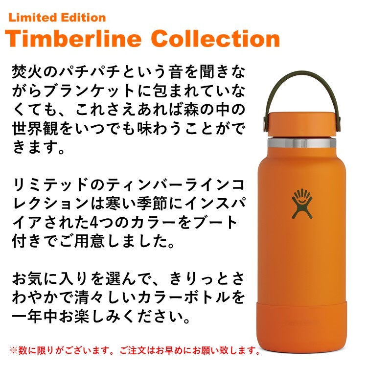 ステンレスボトル ハイドロフラスク HydroFlask 2020秋 限定モデル