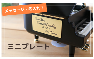 ミニプレートはこちら