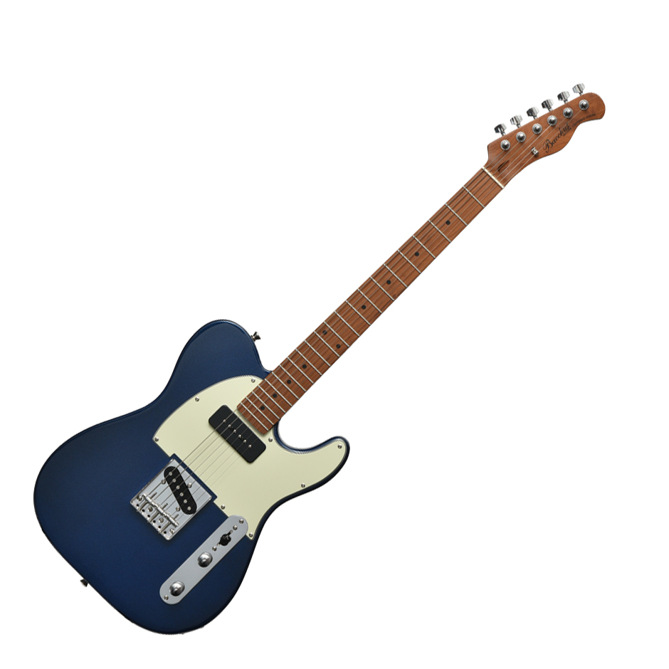 Bacchus（バッカス） バッカス / BTE-2-RSM/M おまけ付き テレキャス