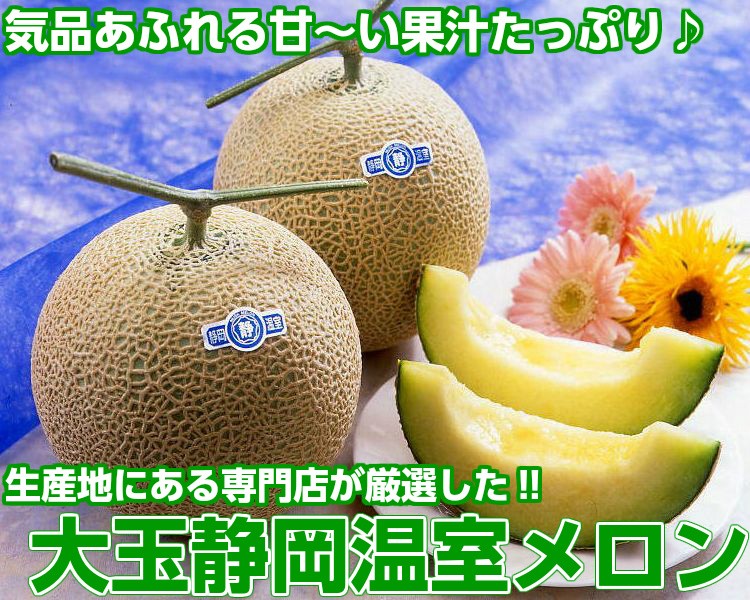 お中元 ギフト 静岡温室メロン 超大玉1.7kg×2個 : しずおか夢工房
