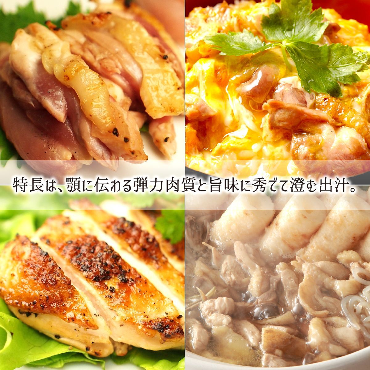 鶏肉 HFC06316.jpg?v=1720585574&
