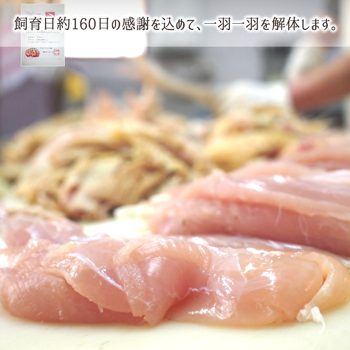 安全な認証食肉施設で処理する比内地鶏きりたんぽ鍋