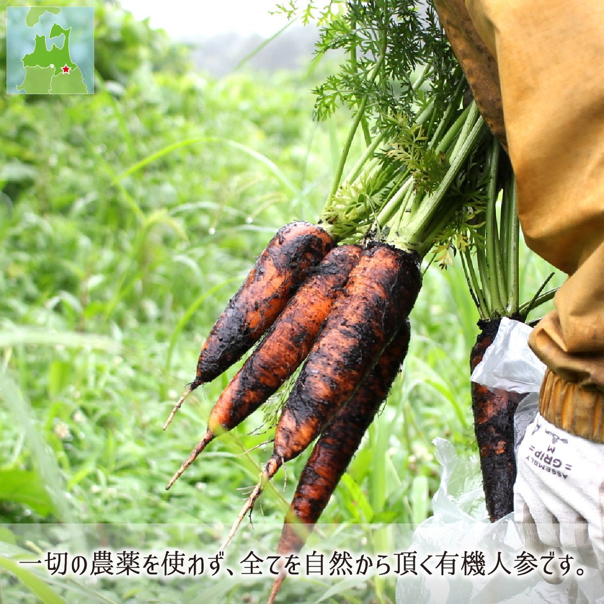 有機JAS人参 秀品 5kg 無農薬 無化学肥料 有機栽培 青森県八戸市南郷産 にんじん 送料無料