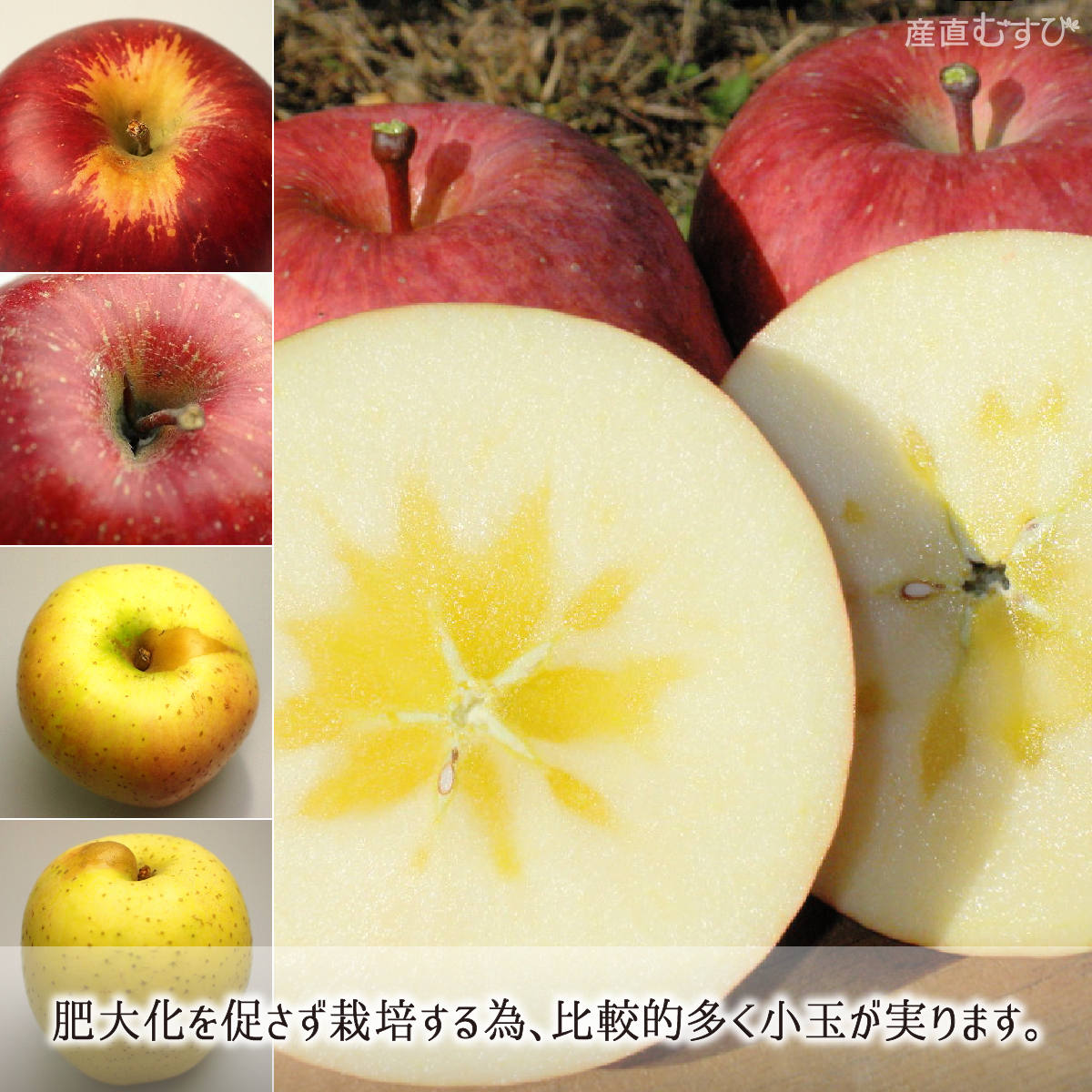 減農薬りんごサンふじ王林