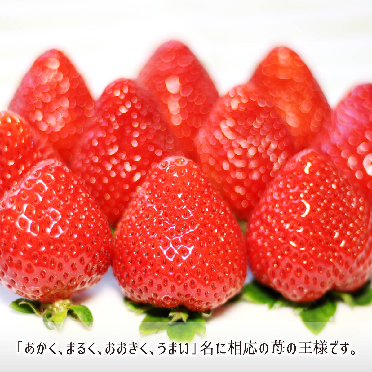 「赤い・丸い・大きい・うまい」苺の王様あまおう