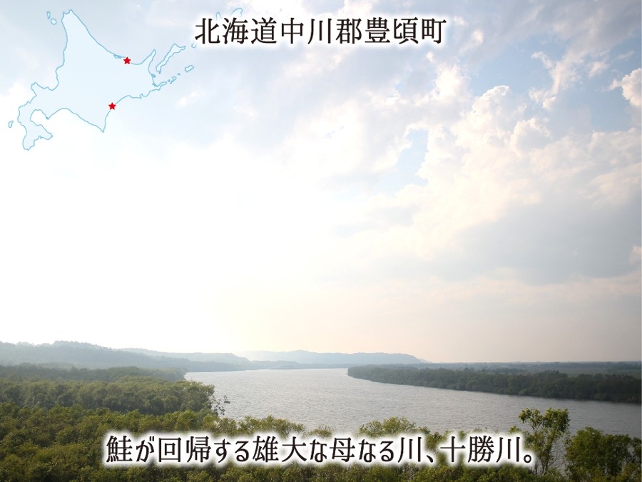 北洋から回帰する全国指折りの母なる鮭の川・十勝川