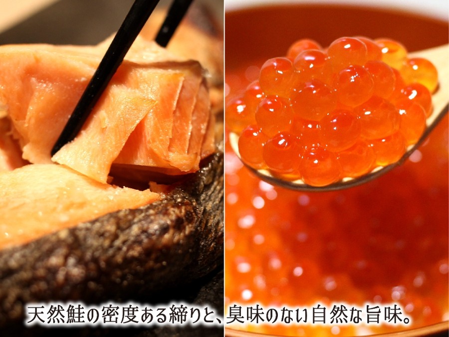 北太平洋から回帰し締まった天然鮭の切り身といくら
