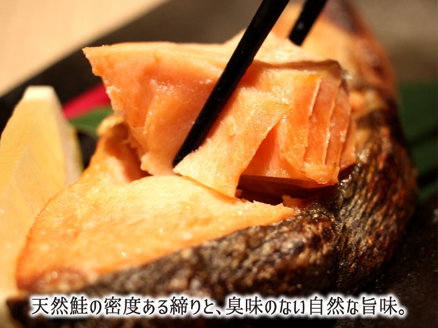 北太平洋から回帰し締まって臭味ない天然鮭の切り身