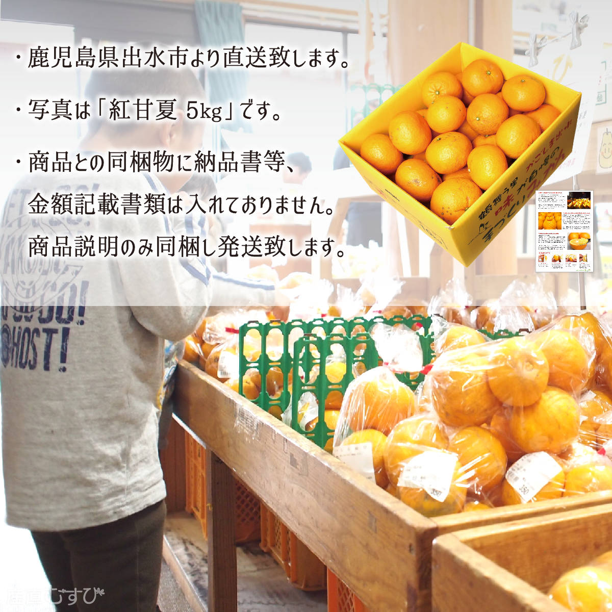 紅甘夏 訳あり サイズ混載 10kg 鹿児島県出水市産 減農薬 無化学肥料