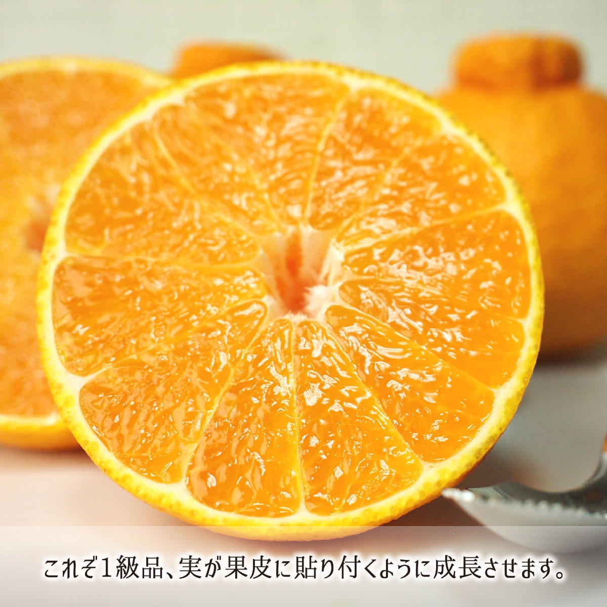 不知火(デコポン) 秀品 L 3kg 減農薬 無化学肥料 特別栽培 鹿児島県