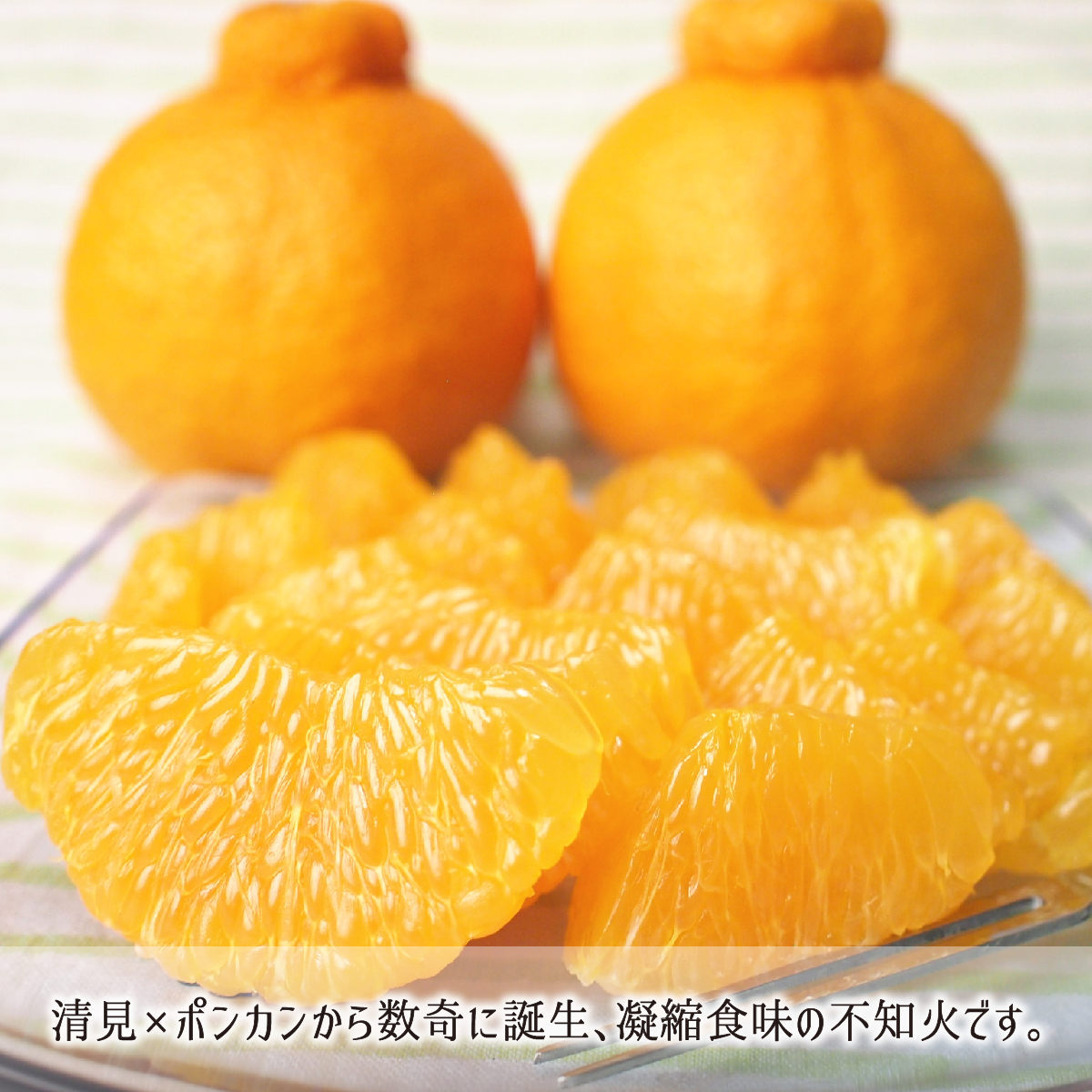 不知火(デコポン) 秀品 L 3kg 減農薬 無化学肥料 特別栽培 鹿児島県