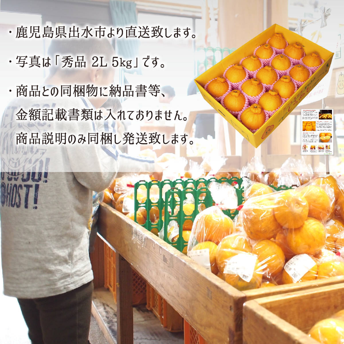 不知火(デコポン) 秀品 L 3kg 減農薬 無化学肥料 特別栽培 鹿児島県