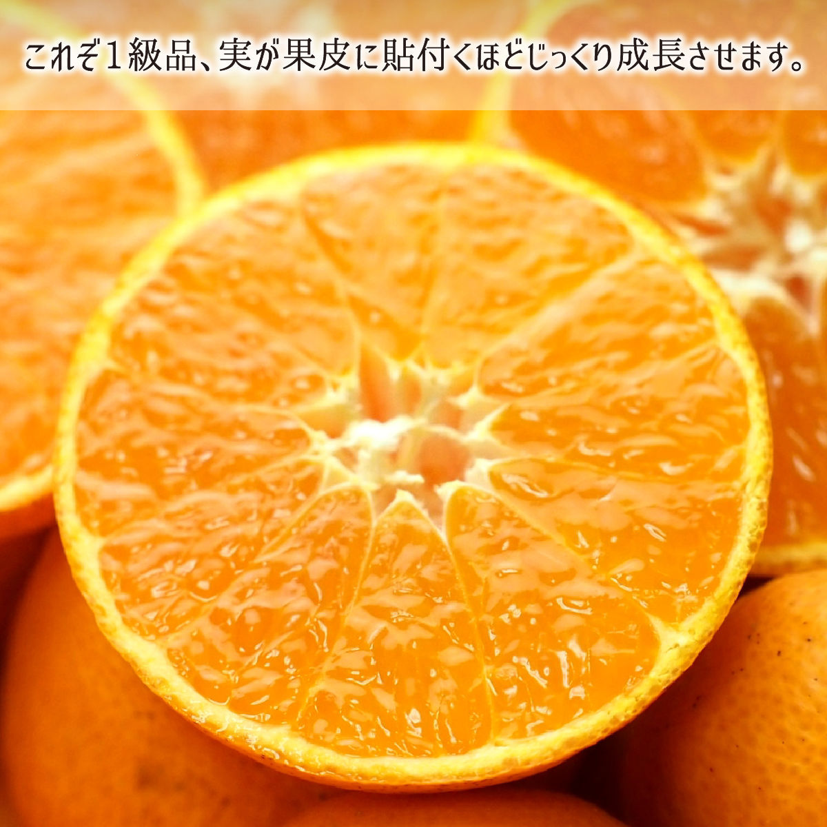 温州みかん 秀品 小玉 S 10kg 鹿児島県出水市産 減農薬 無化学