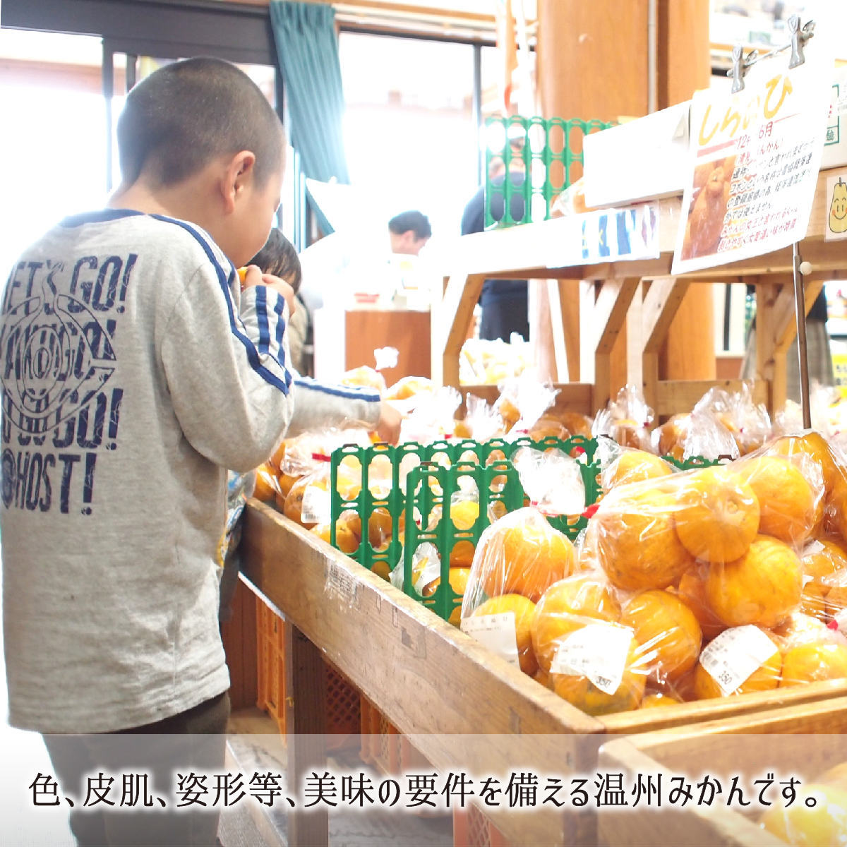 温州みかん 秀品 中玉 M 5kg 鹿児島県出水市産 減農薬 無化学