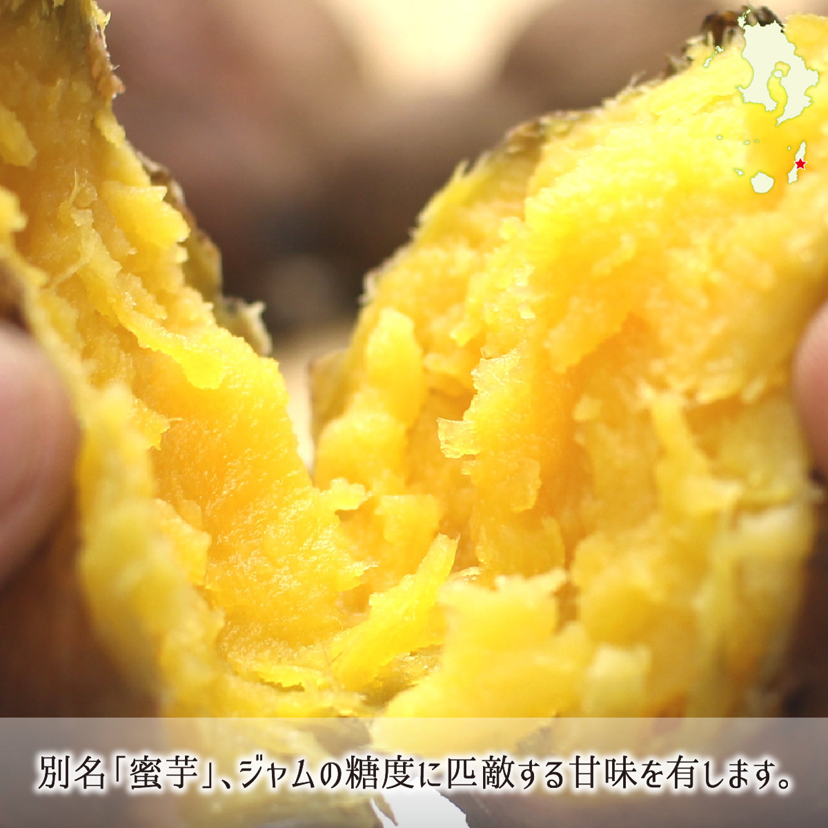 種子島安納いも黄金M１０キロ 楽天市場】安納芋 種子島 黄金の通販