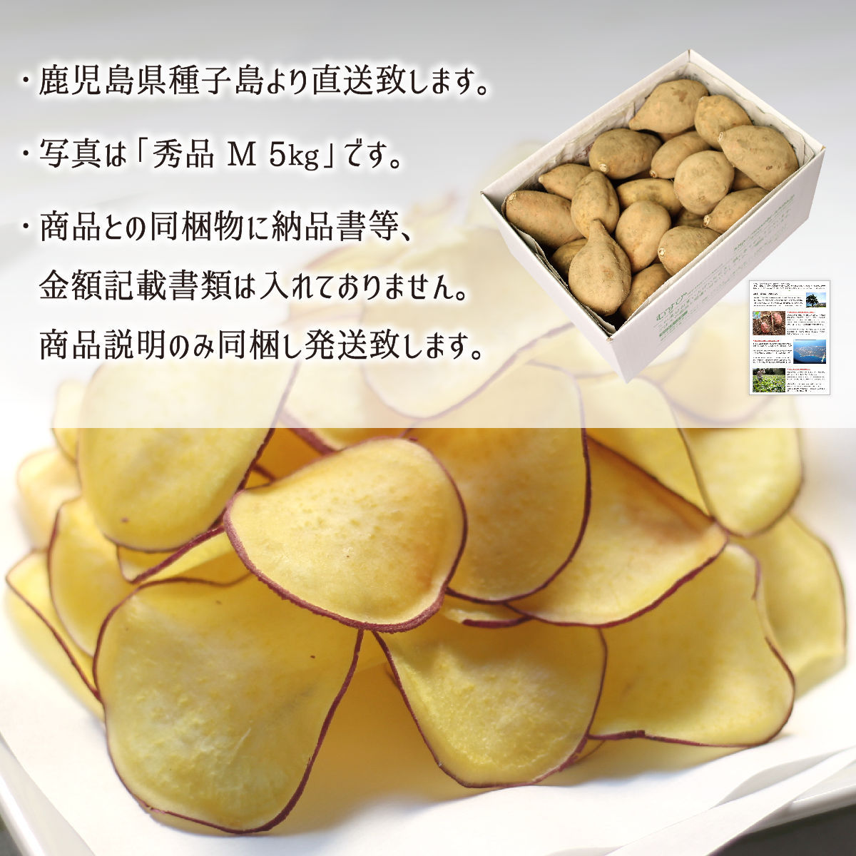 安納黄金芋 秀品 S 5kg 種子島 鹿児島県中種子町産 1ヶ月以上貯蔵熟成