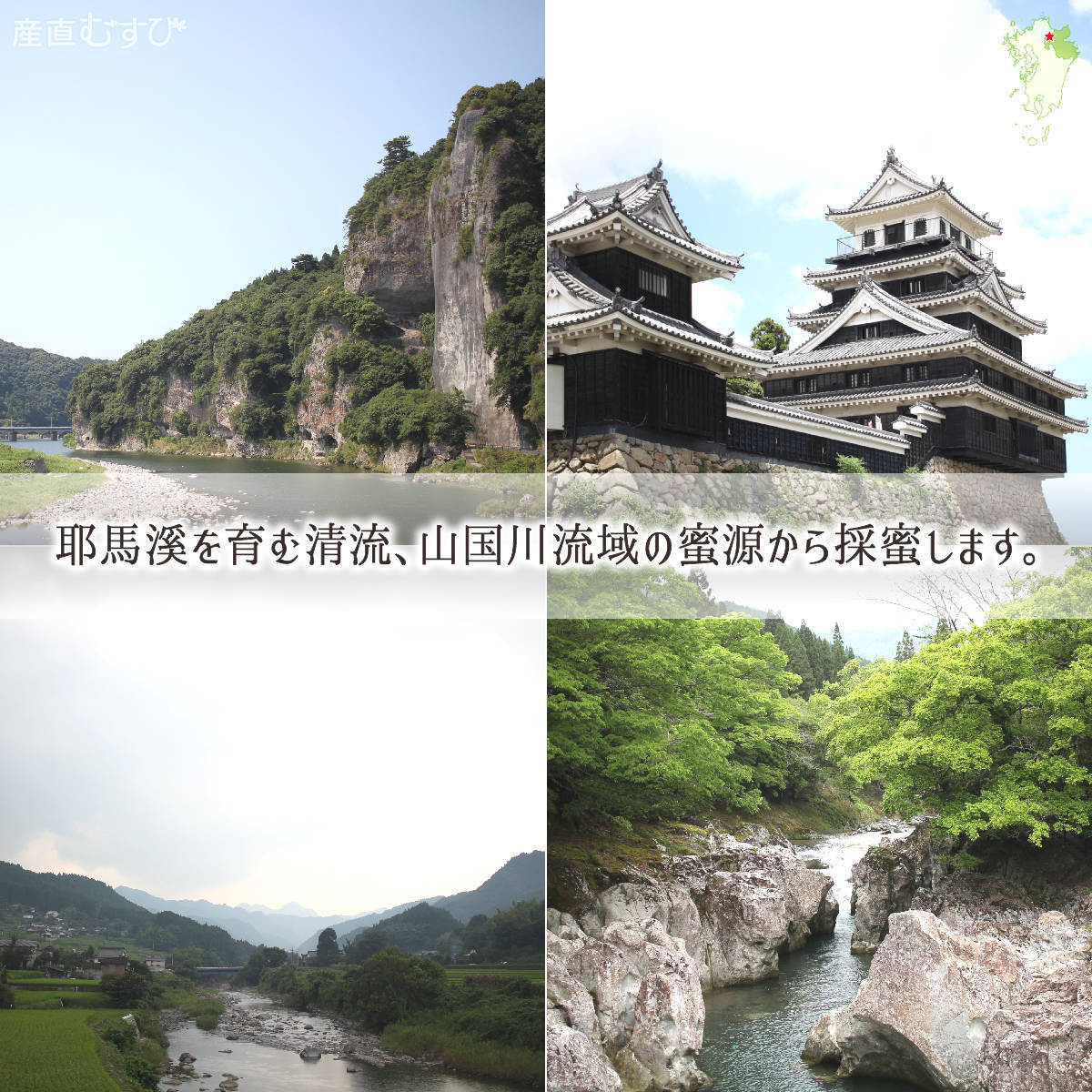 レンゲ蜂蜜の蜜源は国定公園「耶馬渓」山国川流域