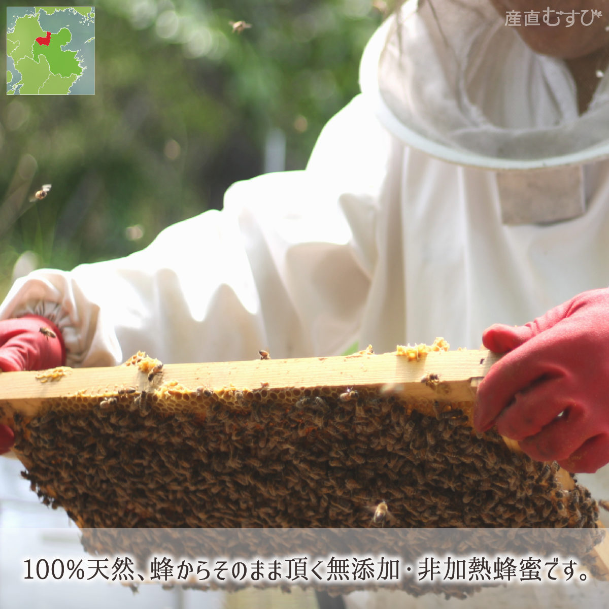 レンゲ蜂蜜 糖度80度以上 無添加 非加熱 全原材料国産 天然 純粋蜂蜜