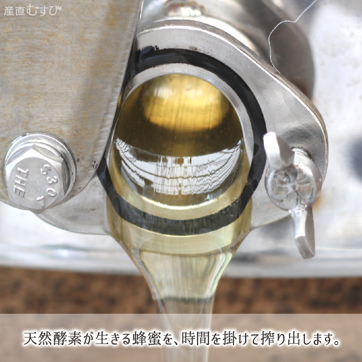 非加熱で採蜜濾過し天然酵素が生きるレンゲ純粋蜂蜜